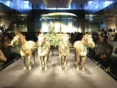 -秦始皇帝陵博物院-丽山园