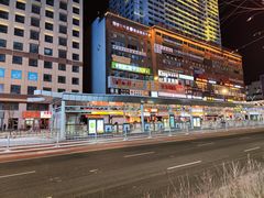 -丰茂烤串(公园店)