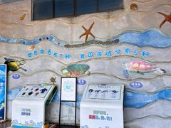 -广东惠东海龟国家级自然保护区