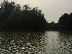 -廊坊市自然公园