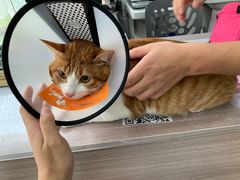 -荔康动物医院(康王北路店)