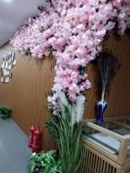 点击看大图 -翎兰瑜伽·普拉提