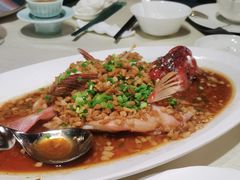 泡椒蒸深海红东星斑-皇朝会.经典传统粤菜(外滩店)