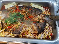 -黑猫馋纸包鱼(阳光店)