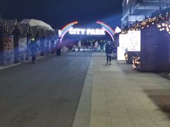 -丁香湖丁香小镇Citypark滑雪公园戏雪嘉年华