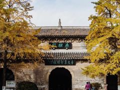 -灵谷景区