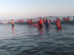 -台山黑沙湾海浴场
