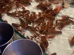 -星伦多自助料理·涮烤一体(杭州来福士店)