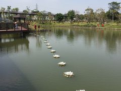 -王借岗森林公园