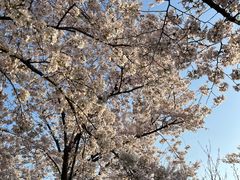 -龙美术馆西岸馆-停车场