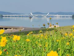 -高子水居