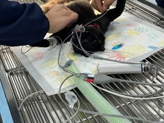 -良伴无忧宠物医院(泰欣嘉园店)