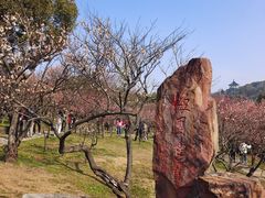 -无锡梅园公园