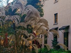 -徐家汇源景区-衡山坊