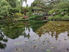 -秋霞圃