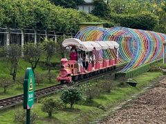 -盈香心动乐园