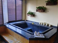 -春晖园度假酒店温泉