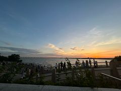 -宝安西湾红树林湿地公园