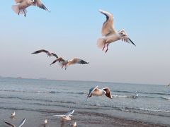 -金梦海湾浴场