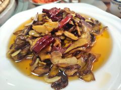 -双喜农庄·菌香园(安居家园店)