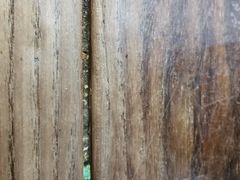 -随柳居·苏式小吃(建新巷店)