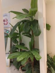 -健身堂科技美肌SPA