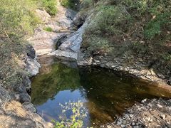 -云岫谷游猎自然风景区