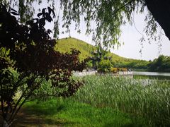 -横山水库