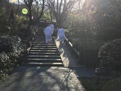 -天目湖涵田半山温泉
