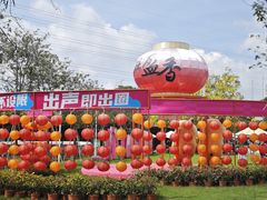 -盈香心动乐园