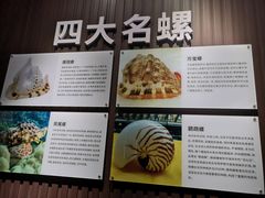 -贝壳王国博物馆