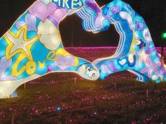 -广西壮族自治区药用植物园