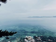 -养马岛旅游度假区