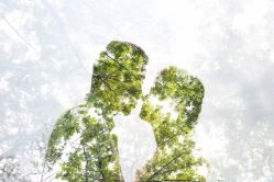 点击看大图 -上花轿婚纱摄影
