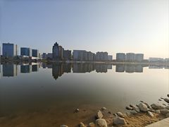 -金沙湖公园