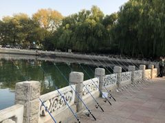-皇家御河游(紫御湾码头)