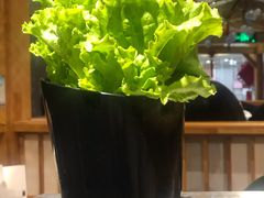 -九田家黑牛烤肉料理(石路天虹店)