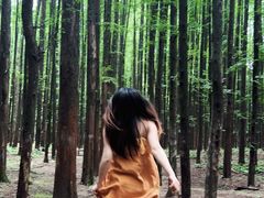 -山王坪喀斯特国家生态公园