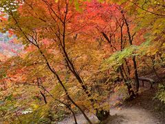 -龙道沟景区