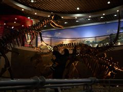 -国家自然博物馆