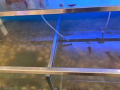 -海天一色海景自助餐厅(西港花园店)