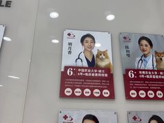 -御宝贝24h宠物医院·转诊中心·CT核磁血透中心(厦门总院)