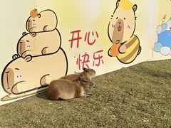 -台山颐和温泉城