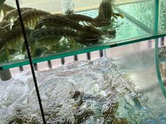 -凯华海鲜火锅·传承三十六年