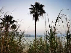 -木屋烧烤(惠阳华润小径湾店)