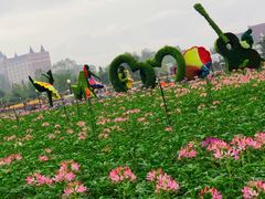 -荷兰花海