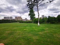 -长春世界雕塑园冰雪艺术天地