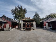 -药王庙(安国市)