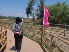 -白渔泡湿地公园