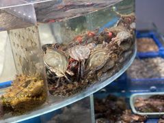 -小螺号海鲜·地道鲁菜(泉城广场店)